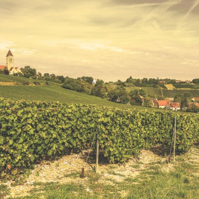 Grand Cru